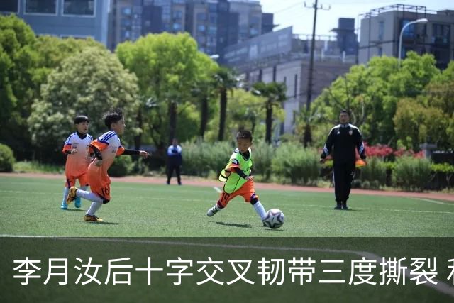 李月汝后十字交叉韧带三度撕裂 和断掉无异